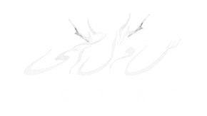 SOLAI